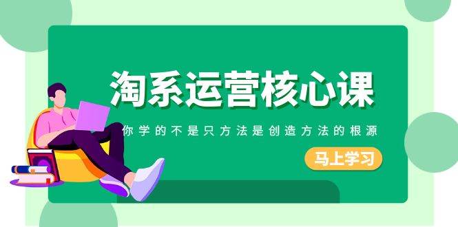 淘系-运营核心课，你学的不是只方法是创造方法的根源（190节课）-枫叶微课堂