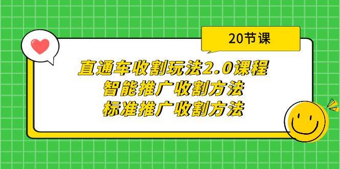 直通车收割玩法2.0课程：智能推广收割方法+标准推广收割方法（20节课）-枫叶微课堂