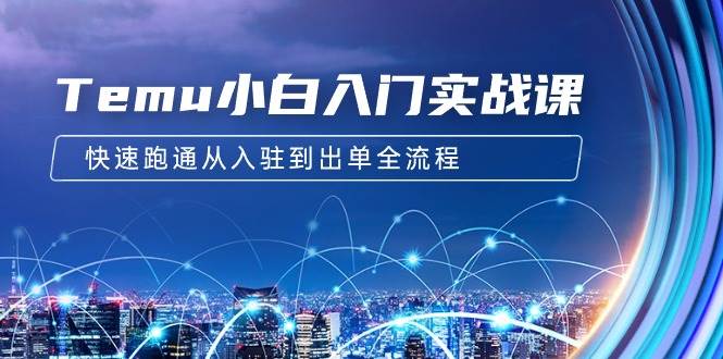 Temu小白入门实战课：跨境拼多多电商培训 快速跑通从入驻到出单全流程-12节-枫叶微课堂