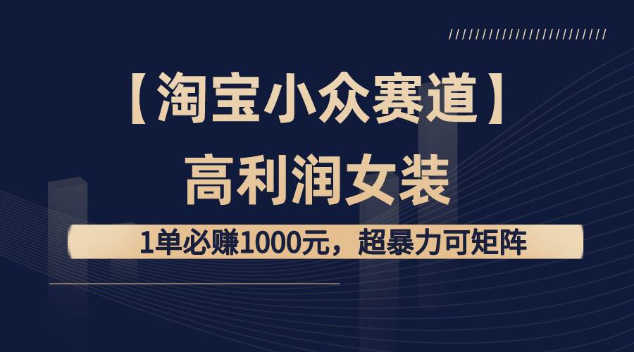 【淘宝小众赛道】高利润女装：1单必赚1000元，超暴力可矩阵-枫叶微课堂