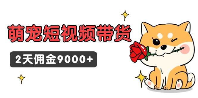 东哲日记·萌宠短视频带货，2天佣金9000+-枫叶微课堂