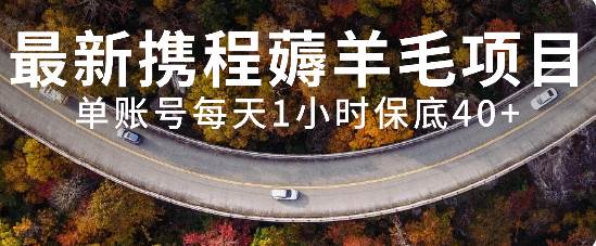 最新携程薅羊毛项目，单账号每天1小时保底收益40+，可矩阵操作-枫叶微课堂