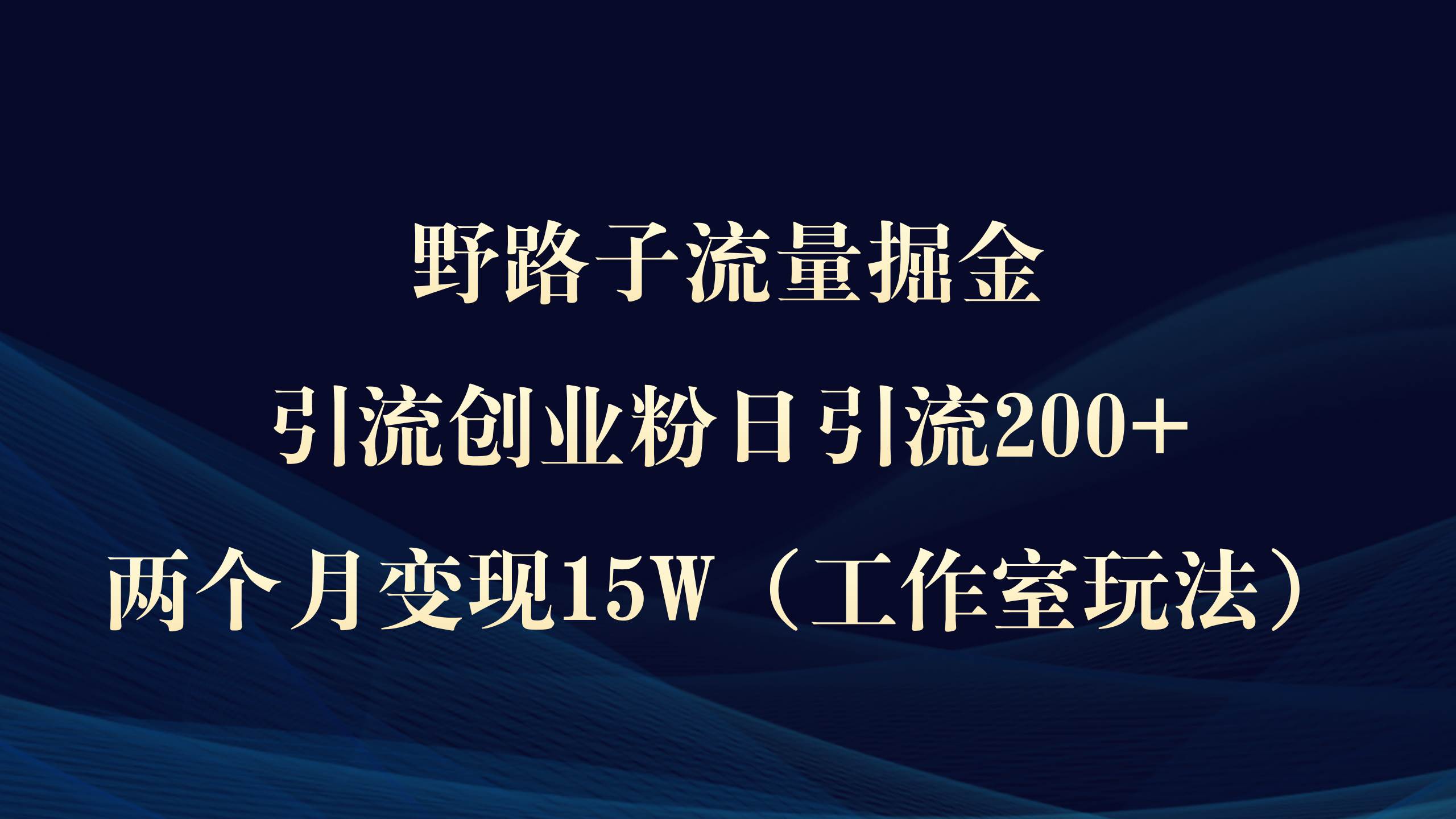 野路子流量掘金，引流创业粉日引流200+，两个月变现15W（工作室玩法））-枫叶微课堂