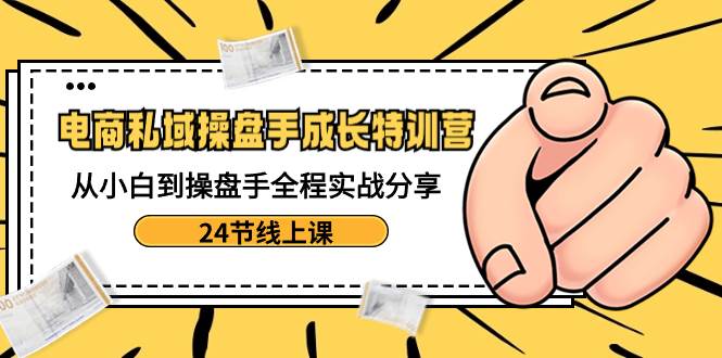 电商私域-操盘手成长特训营：从小白到操盘手全程实战分享-24节线上课-枫叶微课堂
