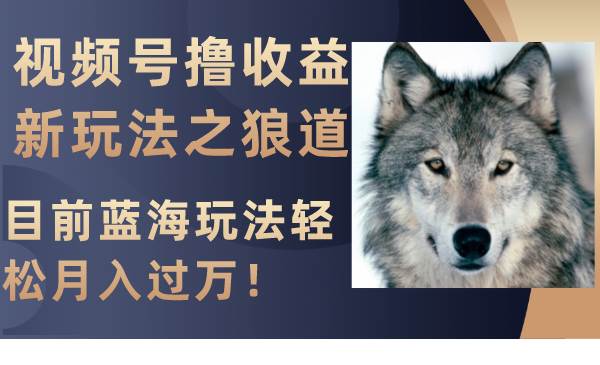 视频号撸收益新玩法之狼道，目前蓝海玩法轻松月入过万！-枫叶微课堂