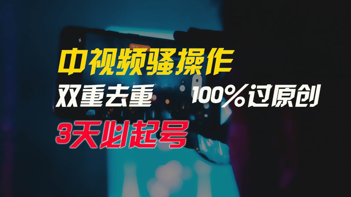 中视频骚操作，双重去重100%过原创，3天比必起号，简单无脑，月入3W+-枫叶微课堂