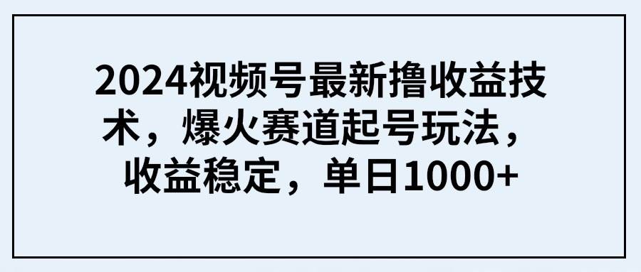 2024视频号最新撸收益技术，爆火赛道起号玩法，收益稳定，单日1000+-枫叶微课堂