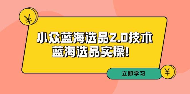 拼多多培训第33期：小众蓝海选品2.0技术-蓝海选品实操！-枫叶微课堂