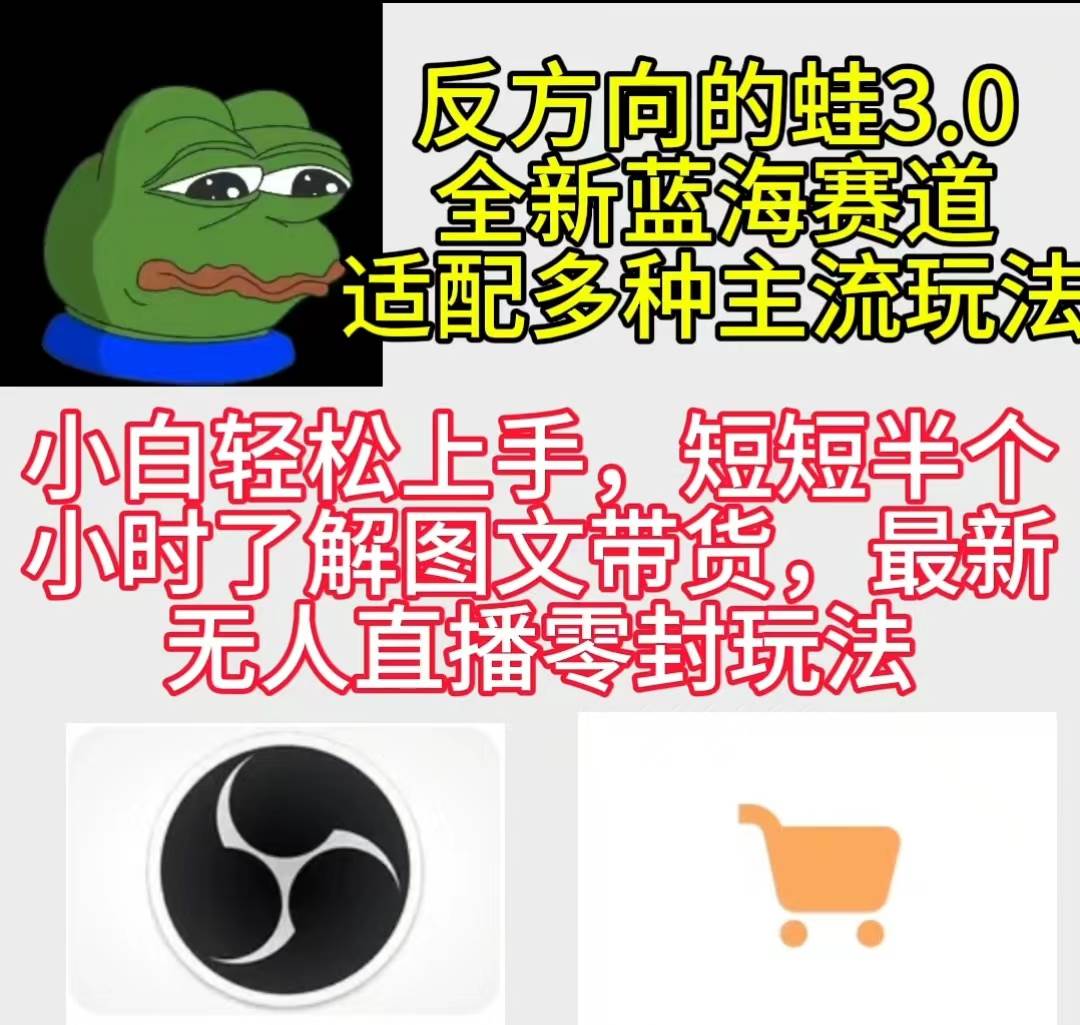 反方向的蛙3.0，图文最新玩法，变现多元化，新蓝海项目，小白轻松上手-枫叶微课堂