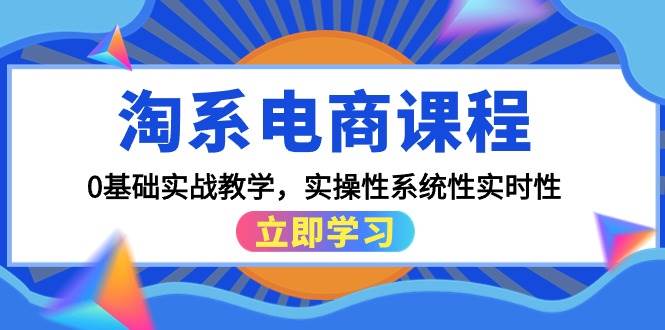 淘系电商课程，0基础实战教学，实操性系统性实时性（15节课）-枫叶微课堂