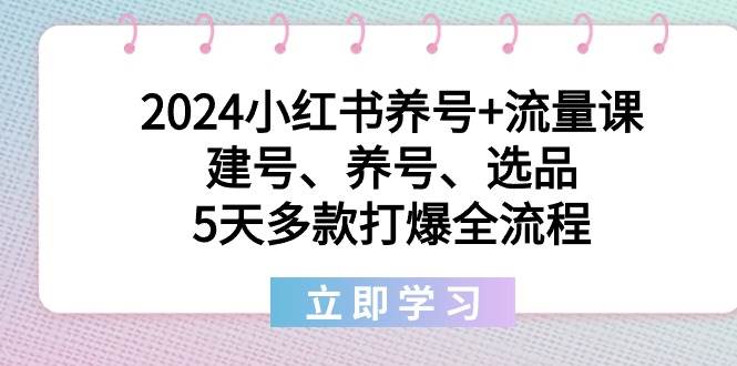 2024小红书养号+流量课：建号、养号、选品，5天多款打爆全流程-枫叶微课堂