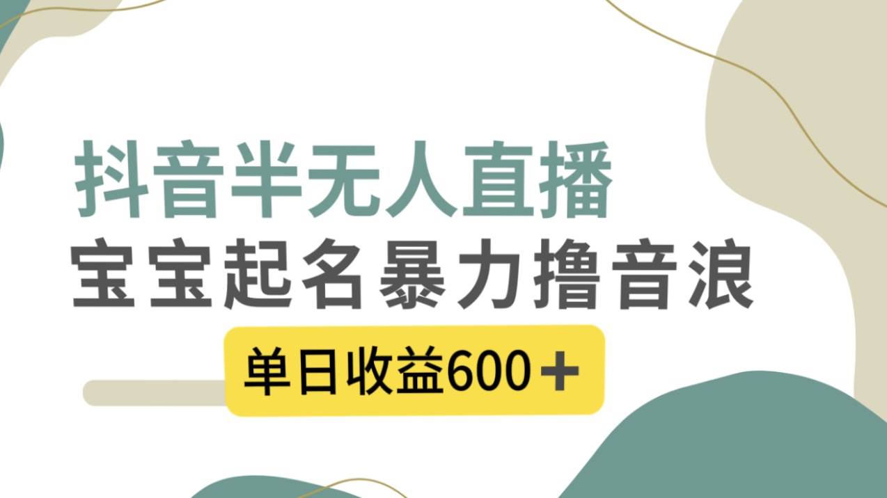 抖音半无人直播，宝宝起名，暴力撸音浪，单日收益600+-枫叶微课堂