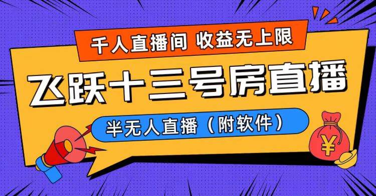 爆火飞跃十三号房半无人直播，一场直播上千人，日入过万！（附软件）-枫叶微课堂