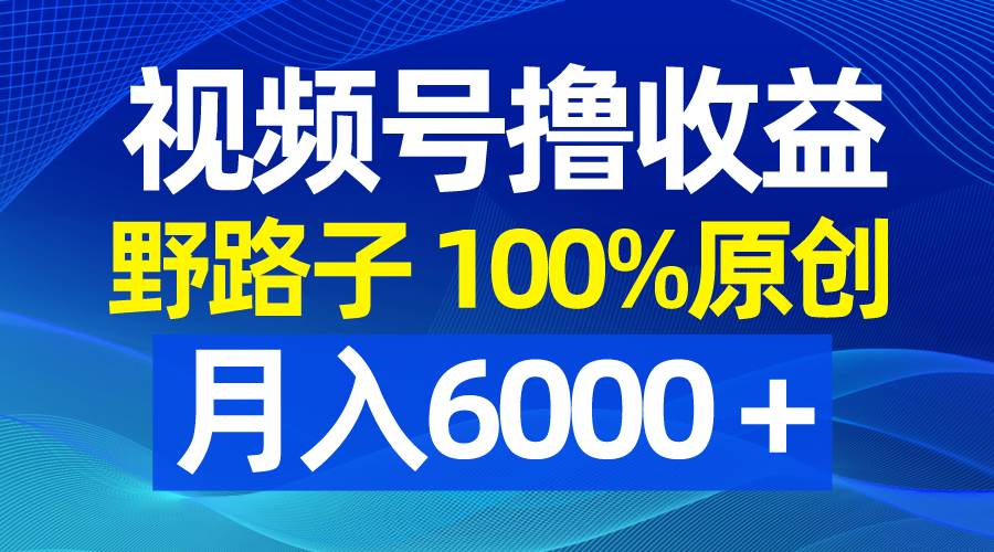 视频号野路子撸收益，100%原创，条条爆款，月入6000＋-枫叶微课堂