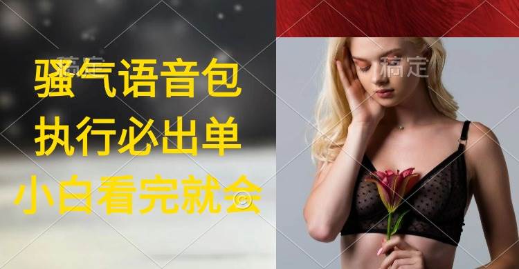 执行就出单，日入2000+，超火骚气语音包，小白看完课程就能马上实操-枫叶微课堂