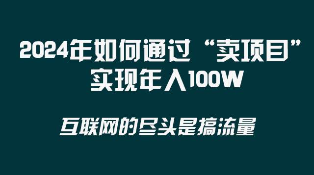 2024年如何通过“卖项目”实现年入100W-枫叶微课堂