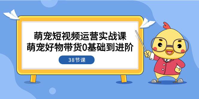 萌宠·短视频运营实战课：萌宠好物带货0基础到进阶（38节课）-枫叶微课堂
