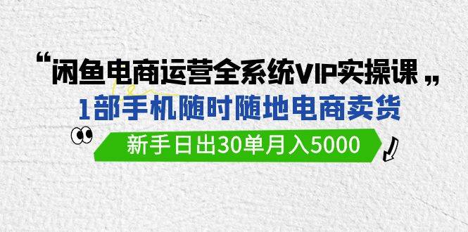 闲鱼电商运营全系统VIP实战课，1部手机随时随地卖货，新手日出30单月入5000-枫叶微课堂