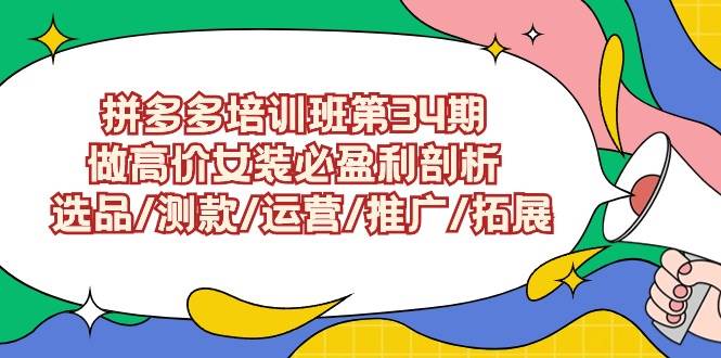拼多多培训班第34期：做高价女装必盈利剖析  选品/测款/运营/推广/拓展-枫叶微课堂
