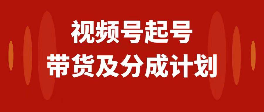 视频号快速起号，分成计划及带货，0-1起盘、运营、变现玩法，日入1000+-枫叶微课堂