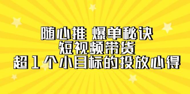 随心推 爆单秘诀，短视频带货-超1个小目标的投放心得（7节视频课）-枫叶微课堂