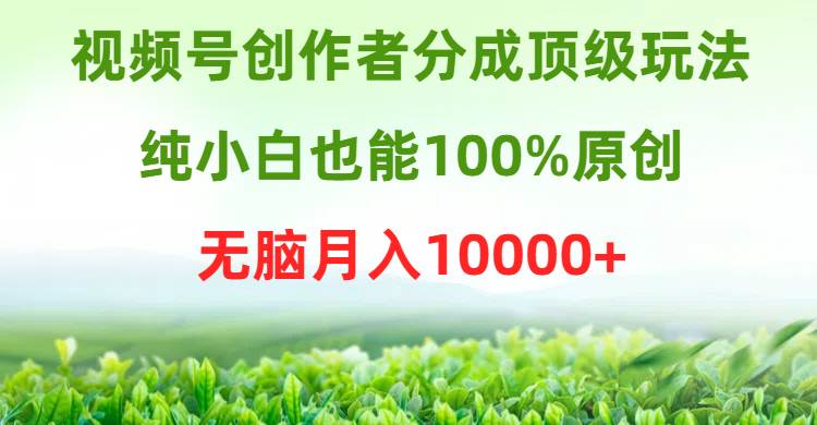 视频号创作者分成顶级玩法，纯小白也能100%原创，无脑月入10000+-枫叶微课堂