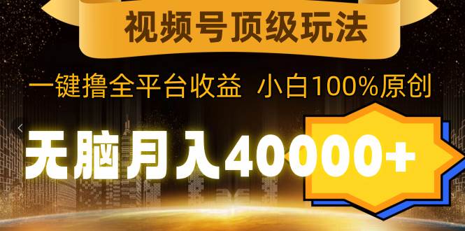 视频号顶级玩法，无脑月入40000+，一键撸全平台收益，纯小白也能100%原创-枫叶微课堂