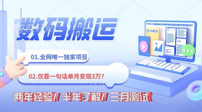 年底最火持久副业,仅靠一句话一月变现3W?-枫叶微课堂