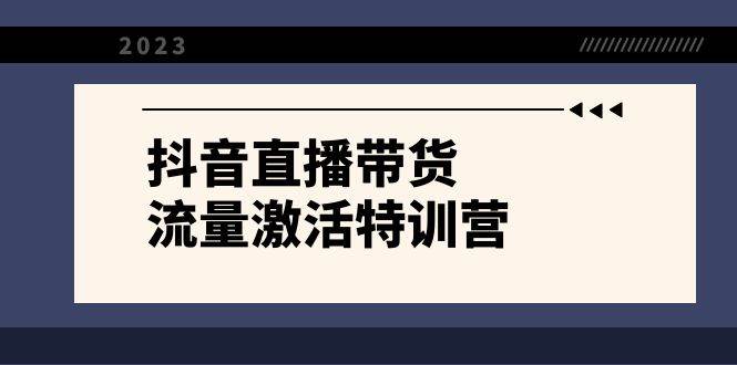 抖音直播带货-流量激活特训营，入行新手小白主播必学（21节课+资料）-枫叶微课堂