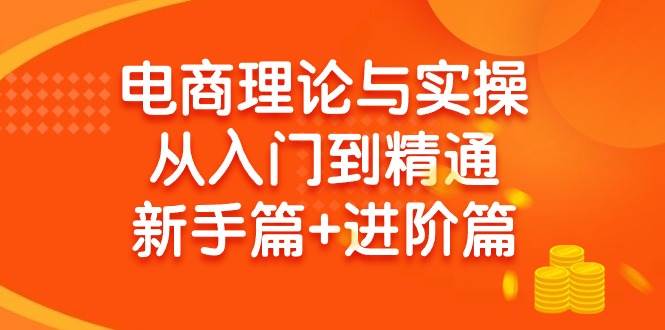 电商理论与实操从入门到精通 新手篇+进阶篇-枫叶微课堂