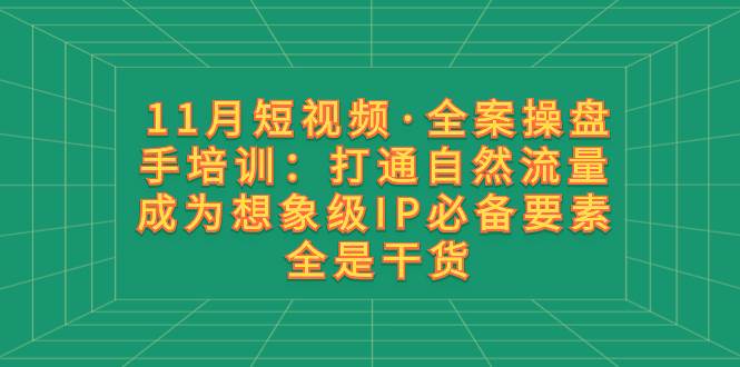 11月短视频·全案操盘手培训：打通自然流量 成为想象级IP必备要素 全是干货-枫叶微课堂