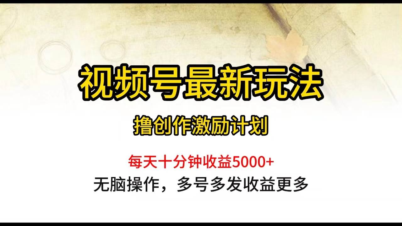 视频号最新玩法，每日一小时月入5000+-枫叶微课堂