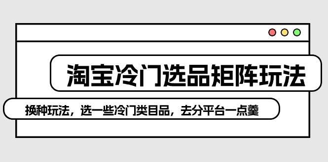 淘宝冷门选品矩阵玩法：换种玩法，选一些冷门类目品，去分平台一点羹-枫叶微课堂
