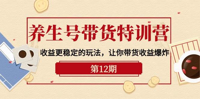 养生号带货特训营【12期】收益更稳定的玩法，让你带货收益爆炸-9节直播课-枫叶微课堂