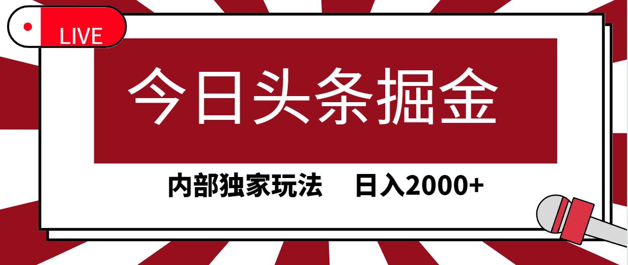 今日头条掘金，30秒一篇文章，内部独家玩法，日入2000+-枫叶微课堂