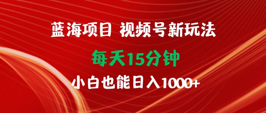 蓝海项目视频号新玩法 每天15分钟 小白也能日入1000+-枫叶微课堂