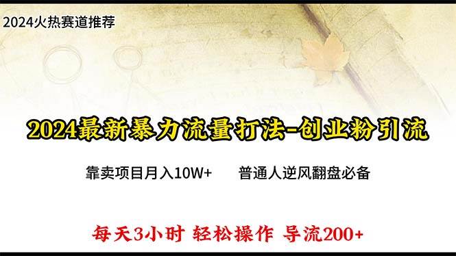 2024年最新暴力流量打法，每日导入300+，靠卖项目月入10W+-枫叶微课堂