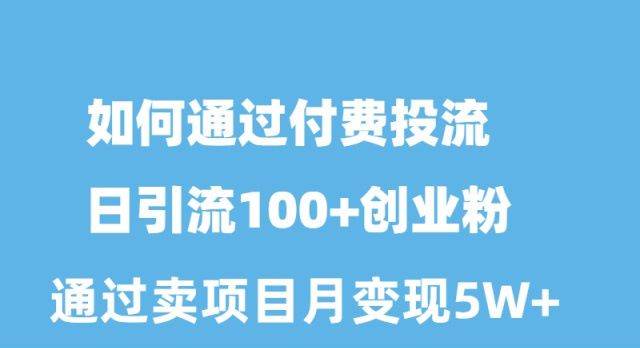 如何通过付费投流日引流100+创业粉月变现5W+-枫叶微课堂