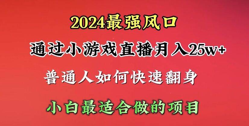 2024年最强风口，通过小游戏直播月入25w+单日收益5000+小白最适合做的项目-枫叶微课堂