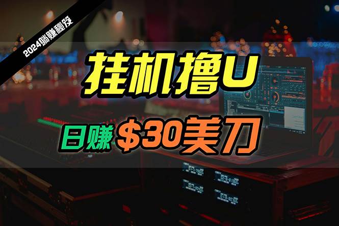 日赚30美刀，2024最新海外挂机撸U内部项目，全程无人值守，可批量放大-枫叶微课堂