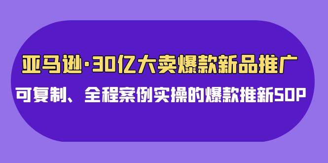 亚马逊30亿·大卖爆款新品推广，可复制、全程案例实操的爆款推新SOP-枫叶微课堂