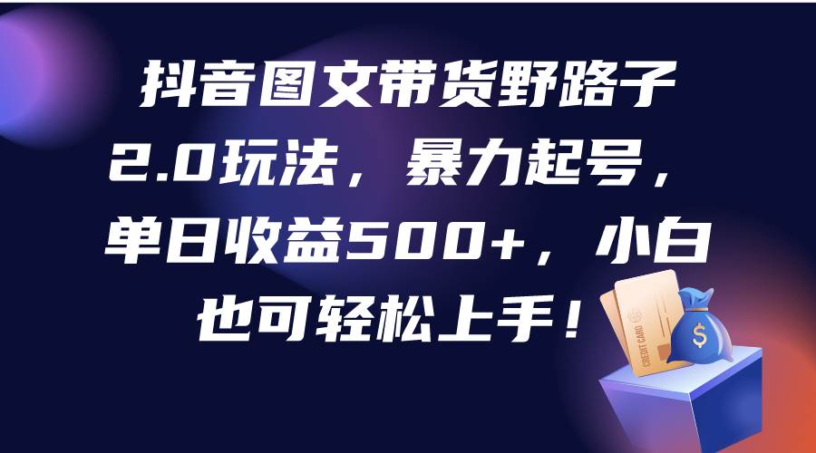 抖音图文带货野路子2.0玩法，暴力起号，单日收益500+，小白也可轻松上手！-枫叶微课堂