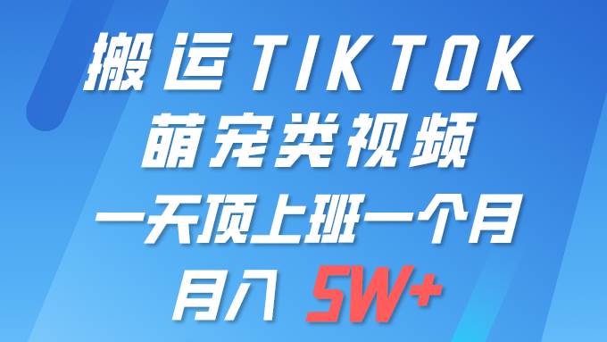一键搬运TIKTOK萌宠类视频 一部手机即可操作 所有平台均可发布 轻松月入5W+-枫叶微课堂