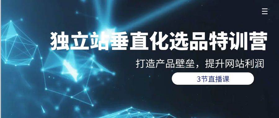 独立站-垂直化选品训练营，打造产品壁垒，提升网站利润（3节直播课）-枫叶微课堂
