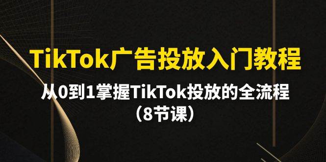 TikTok广告投放入门教程，从0到1掌握TikTok投放的全流程（8节课）-枫叶微课堂