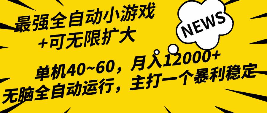 2024最新全网独家小游戏全自动，单机40~60,稳定躺赚，小白都能月入过万-枫叶微课堂