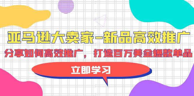 亚马逊 大卖家-新品高效推广，分享如何高效推广，打造百万美金爆款单品-枫叶微课堂