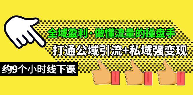 全域盈利·做懂流量的操盘手，打通公域引流+私域强变现，约9个小时线下课-枫叶微课堂