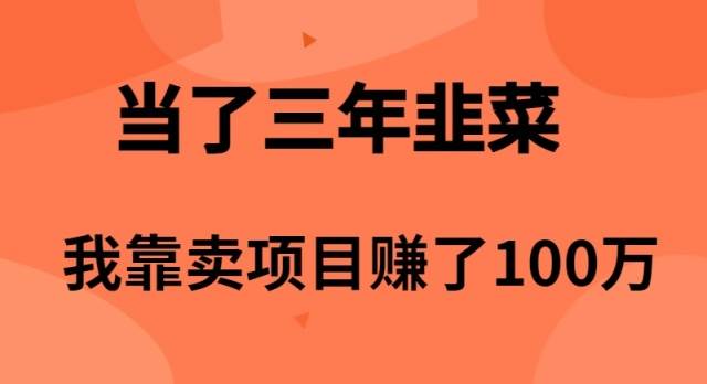 当了3年韭菜，我靠卖项目赚了100万-枫叶微课堂