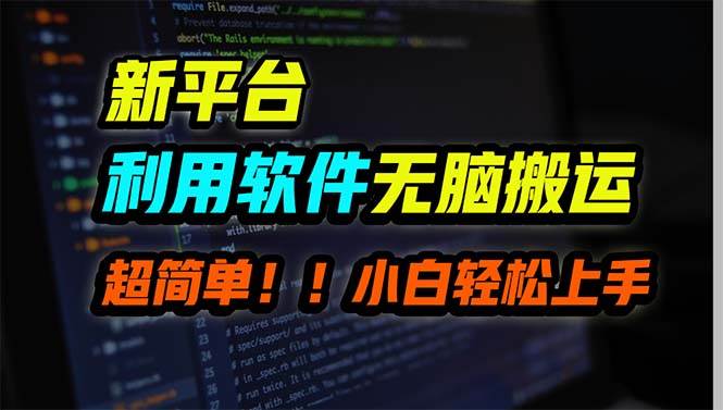新平台用软件无脑搬运，月赚10000+，小白也能轻松上手-枫叶微课堂